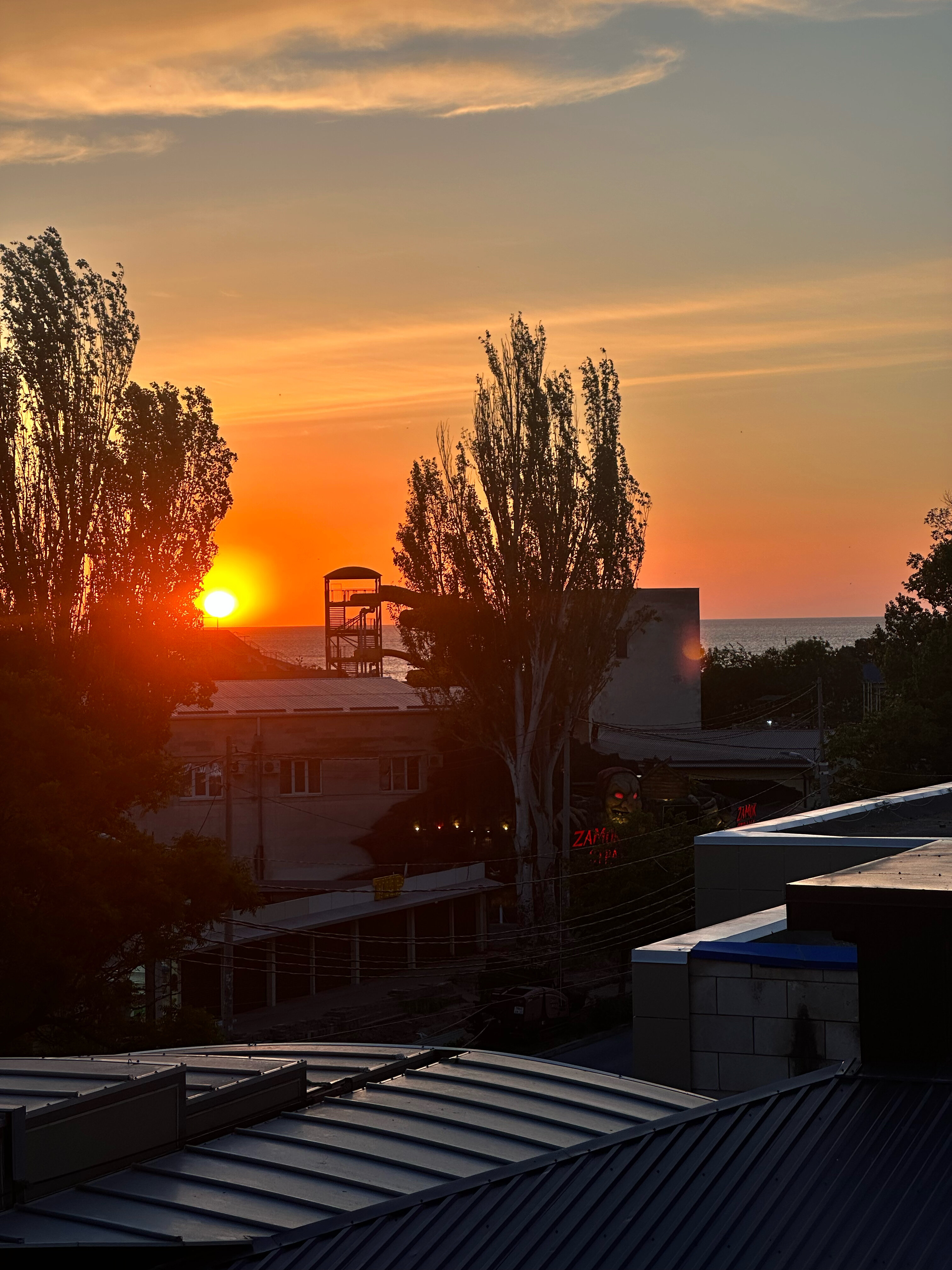 Фото Альбатрос