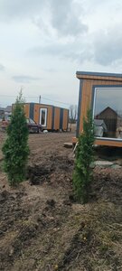 В гостях у Молли
