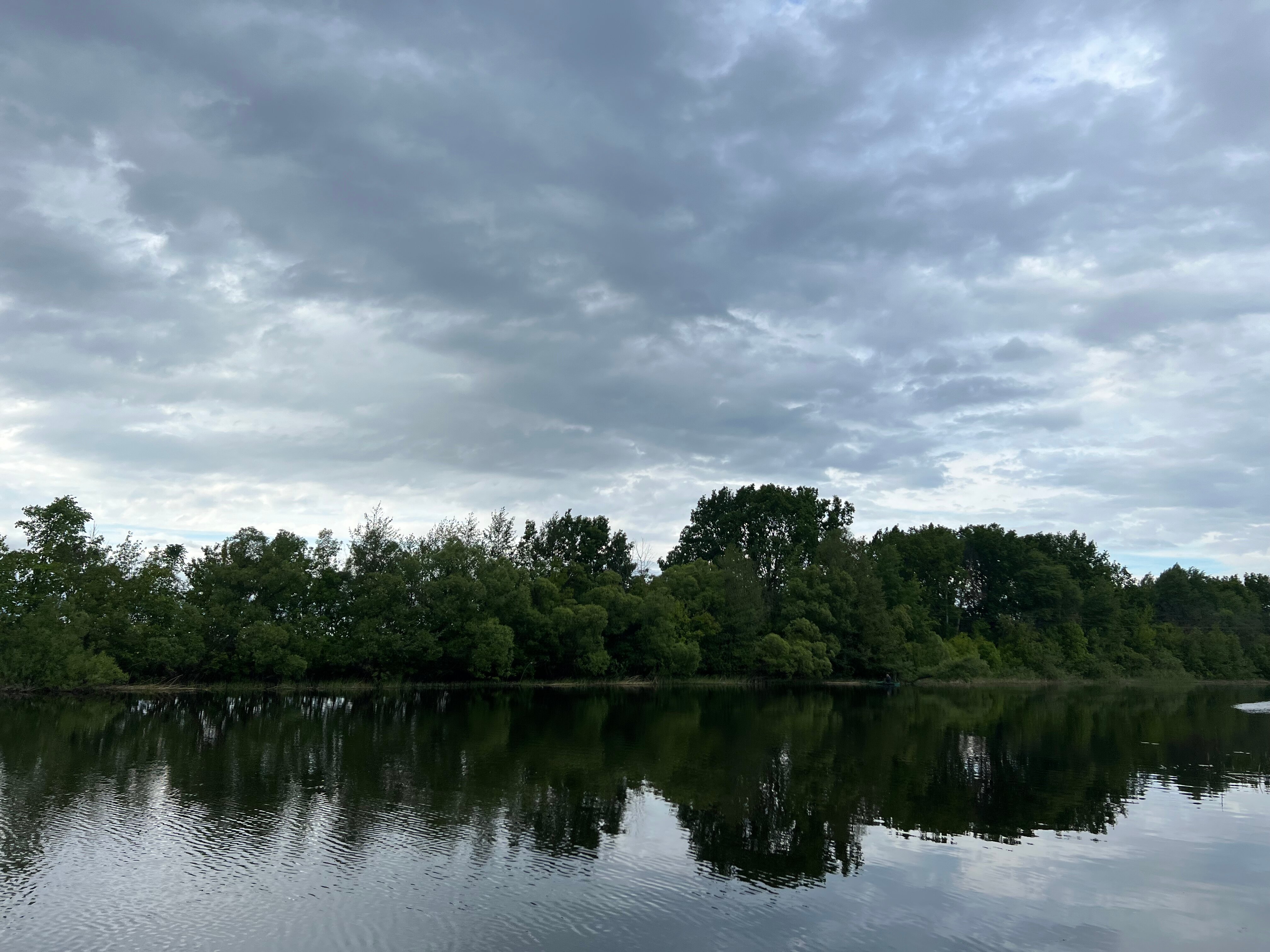 Фото Икорец