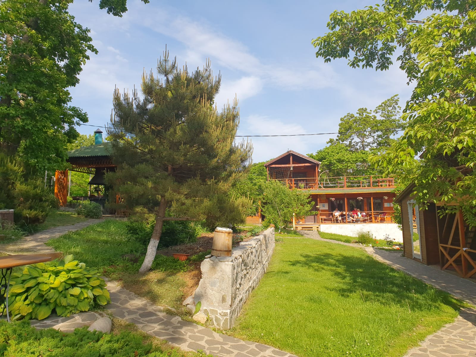 Фото Ольховая