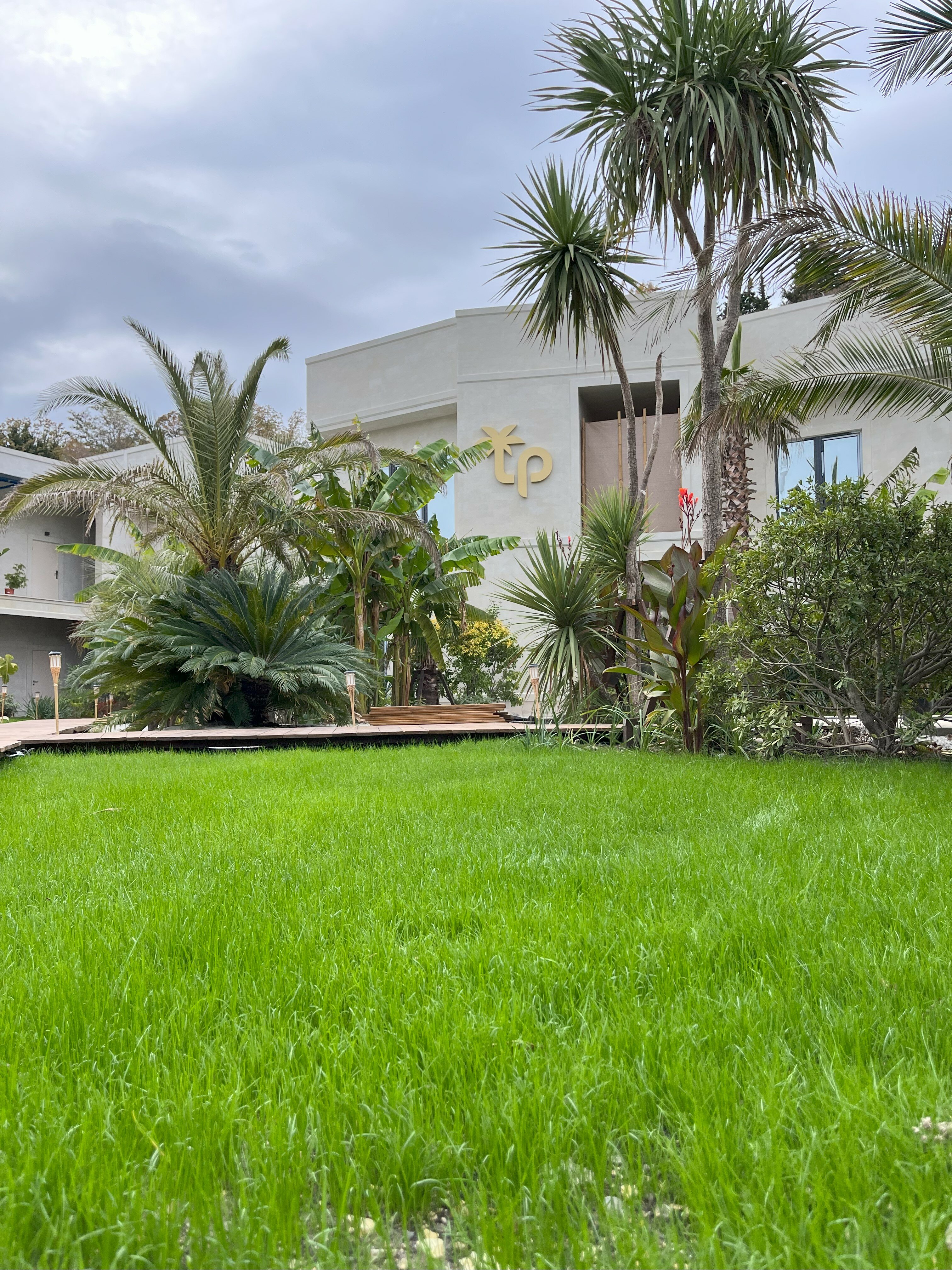 Фото Little Palm