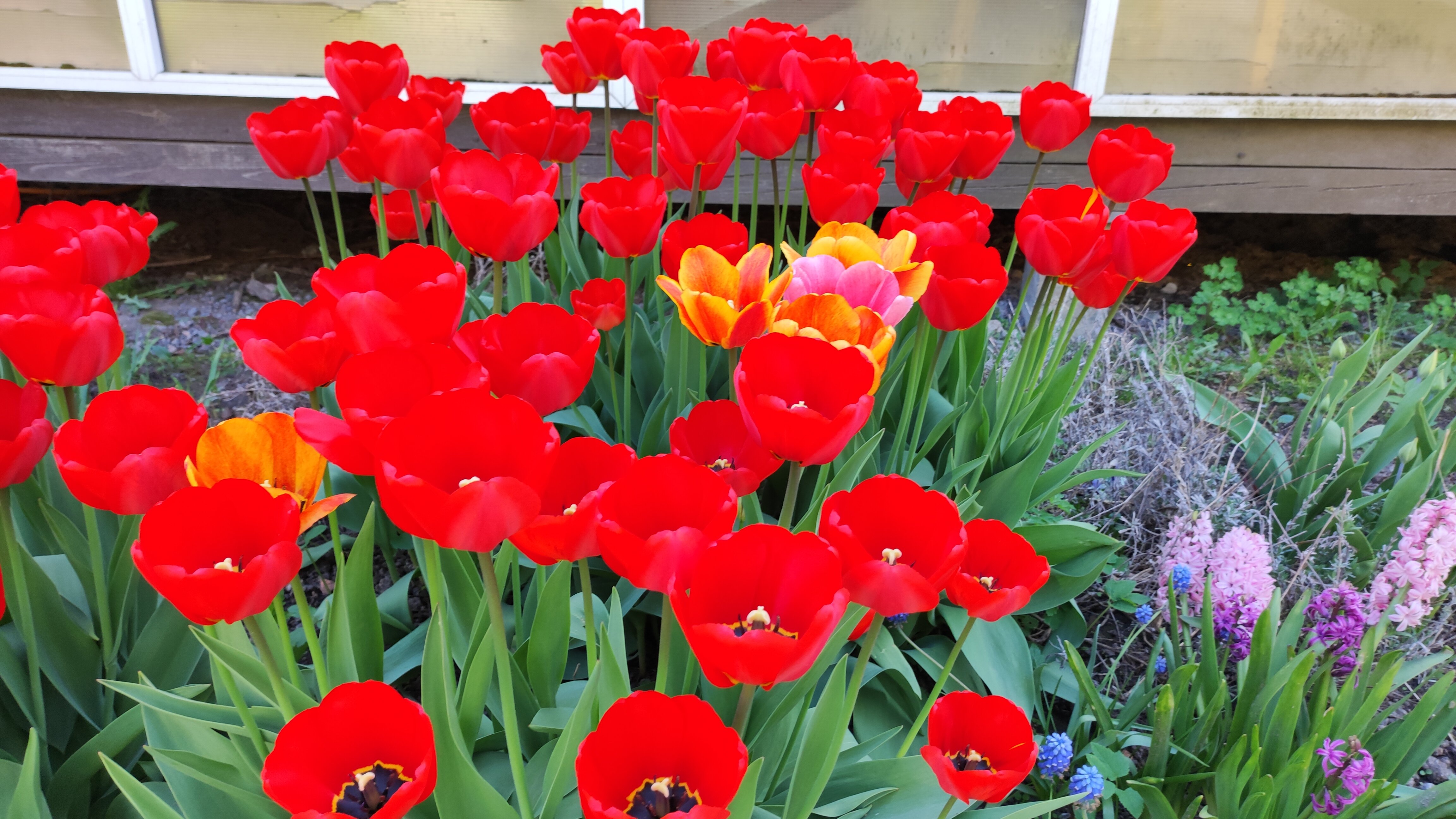 Фото Отель-коттедж Ф&Ф