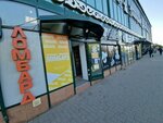 Altyn-Business (Abaı Avenue, 1/4), pawnshop