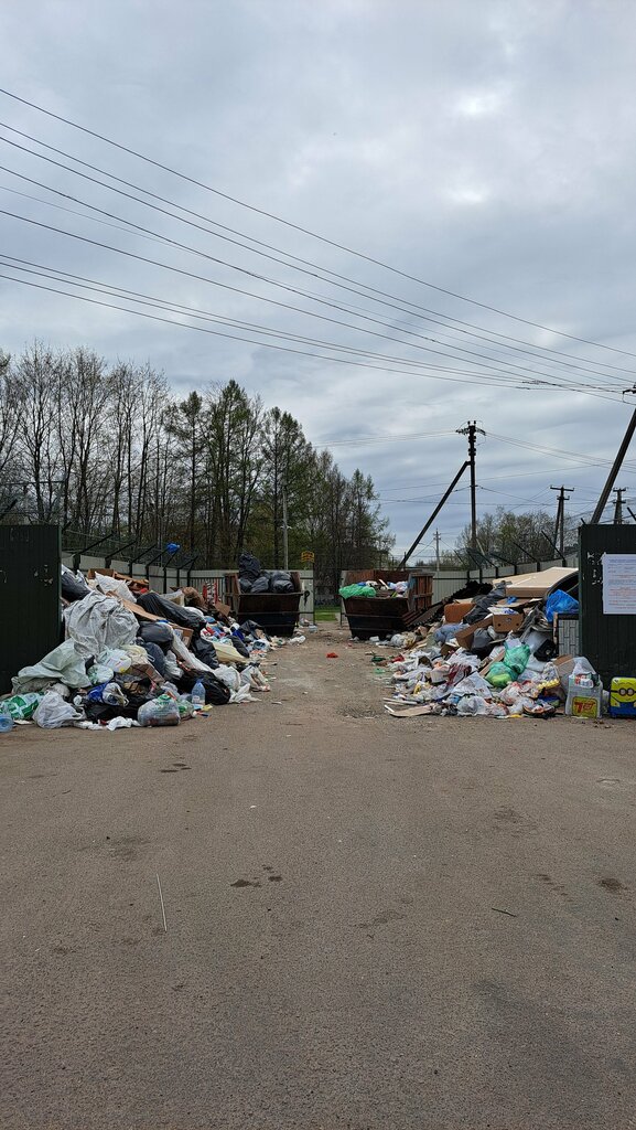 منطقة التخلص من النفايات والقمامة Trash and garbage disposal area ، سانت بطرسبرغ ومقاطعة لينينغراد، صورة