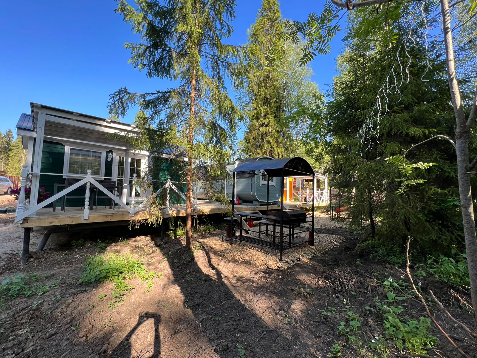 Фото Лесная тропа