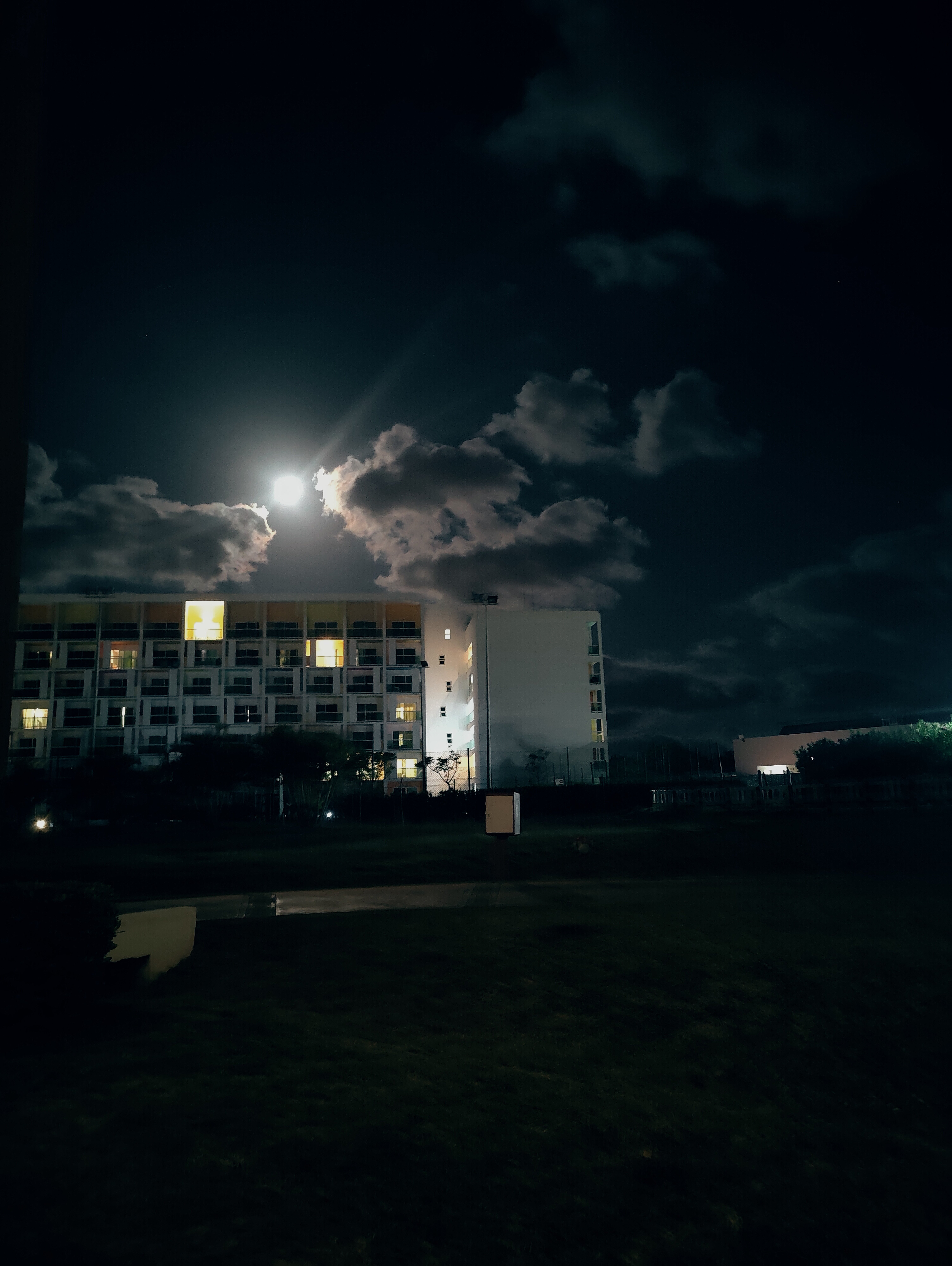 Фото Hotel Playa Vista Azul