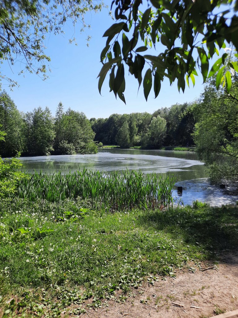 جمعية أصحاب المنازل Tovarishchestvo sobstvennikov zhilya Terletskaya Dubrava ، موسكو، صورة