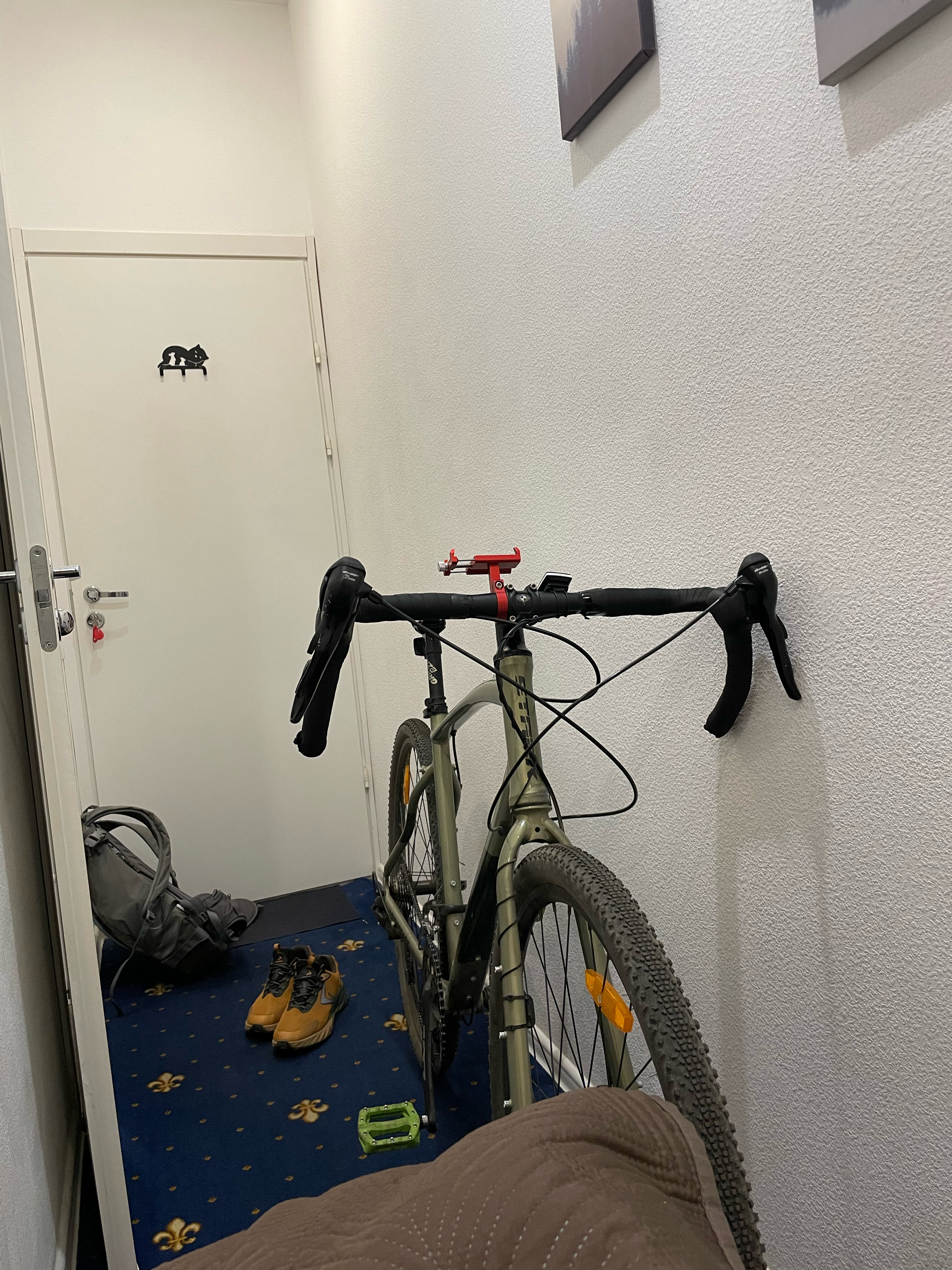 Фото Вояжер