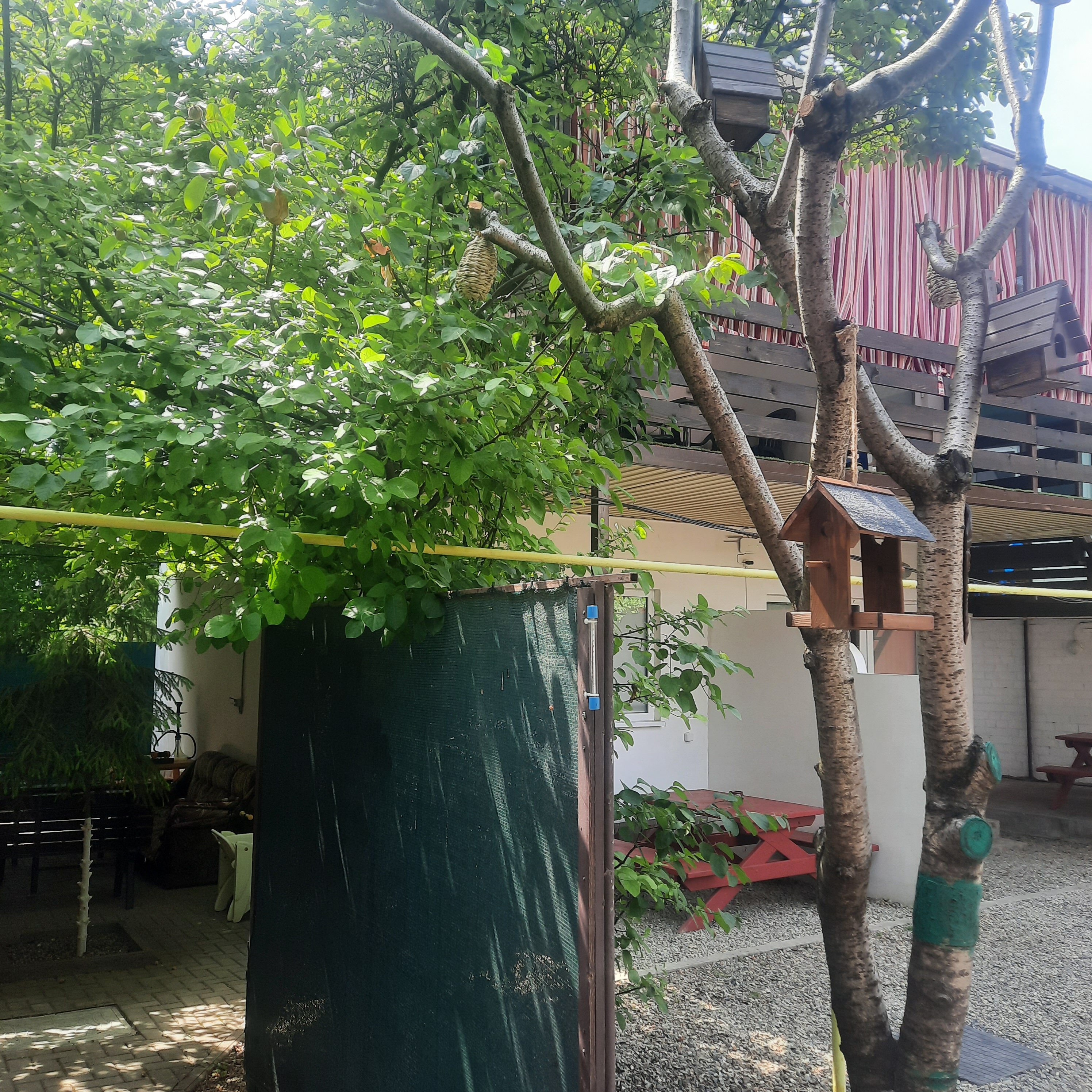 Фото Гостевой дом на Горького