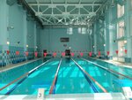 Академия акварели Сергея Андрияки, бассейн (Akademika Vargi Street, 15), swimming pool