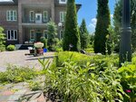 Oasis Garden (Village of Nemchinovka, Sovetskij Avenue, 98), garden care