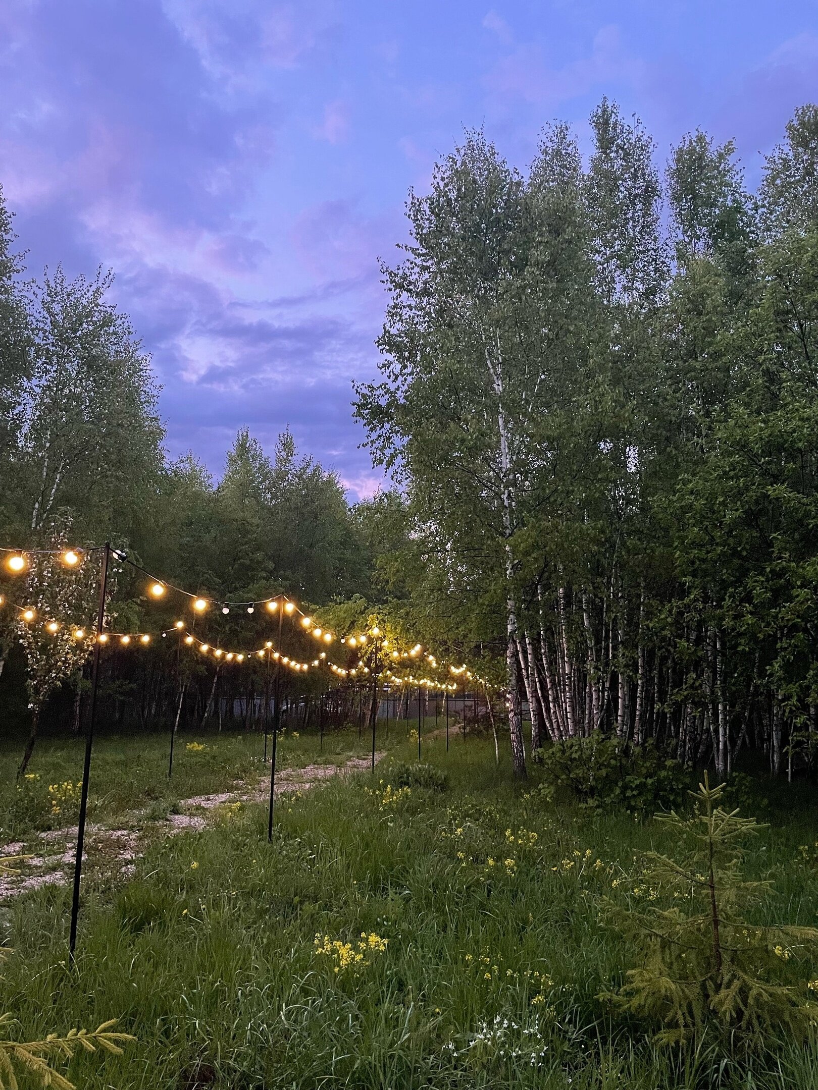 Фото Два зайца