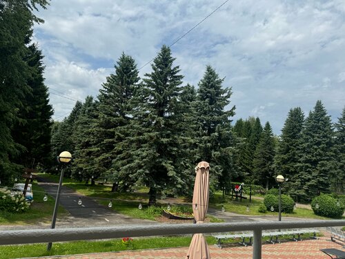 ПАНСИОНАТ БУРЕВЕСТНИК, Нижегородская область от 5520 ₽ — Яндекс Путешествия