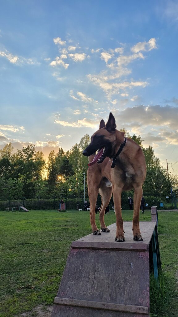مركز حديقة الحيوان Sportivno-dressirovochnaya ploshchadka Orekhovo ، موسكو، صورة