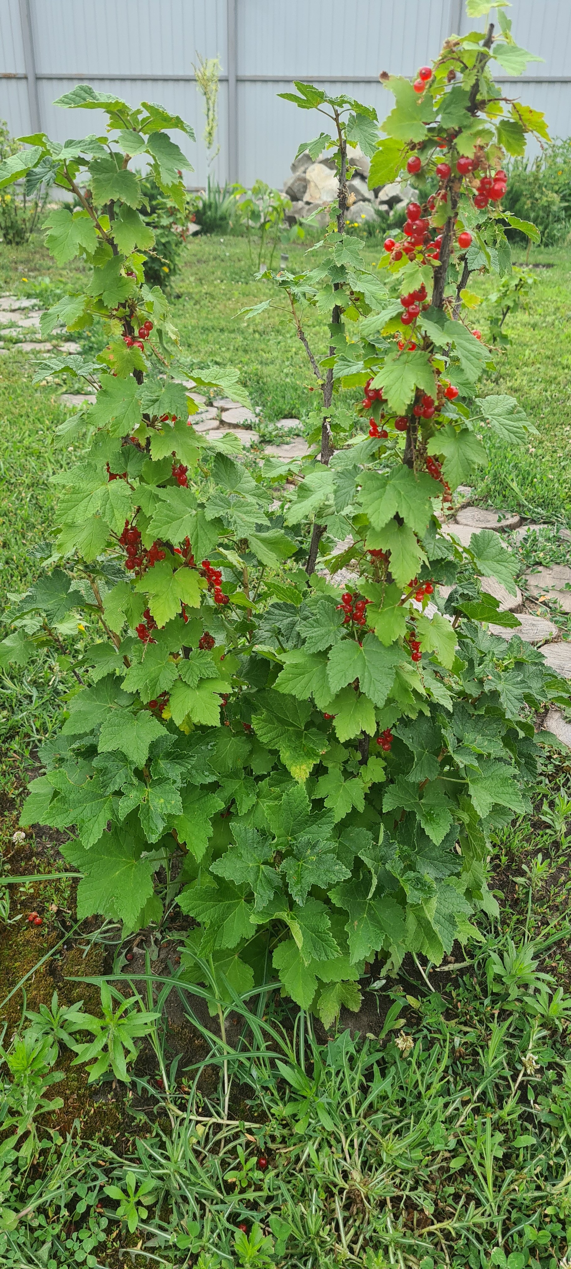 Фото Уют и Тепло