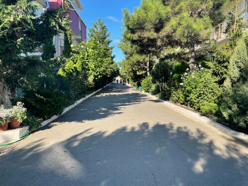 Гостиница Согдиана в Николаевке