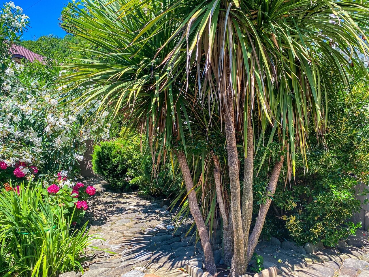 Фото Виктория