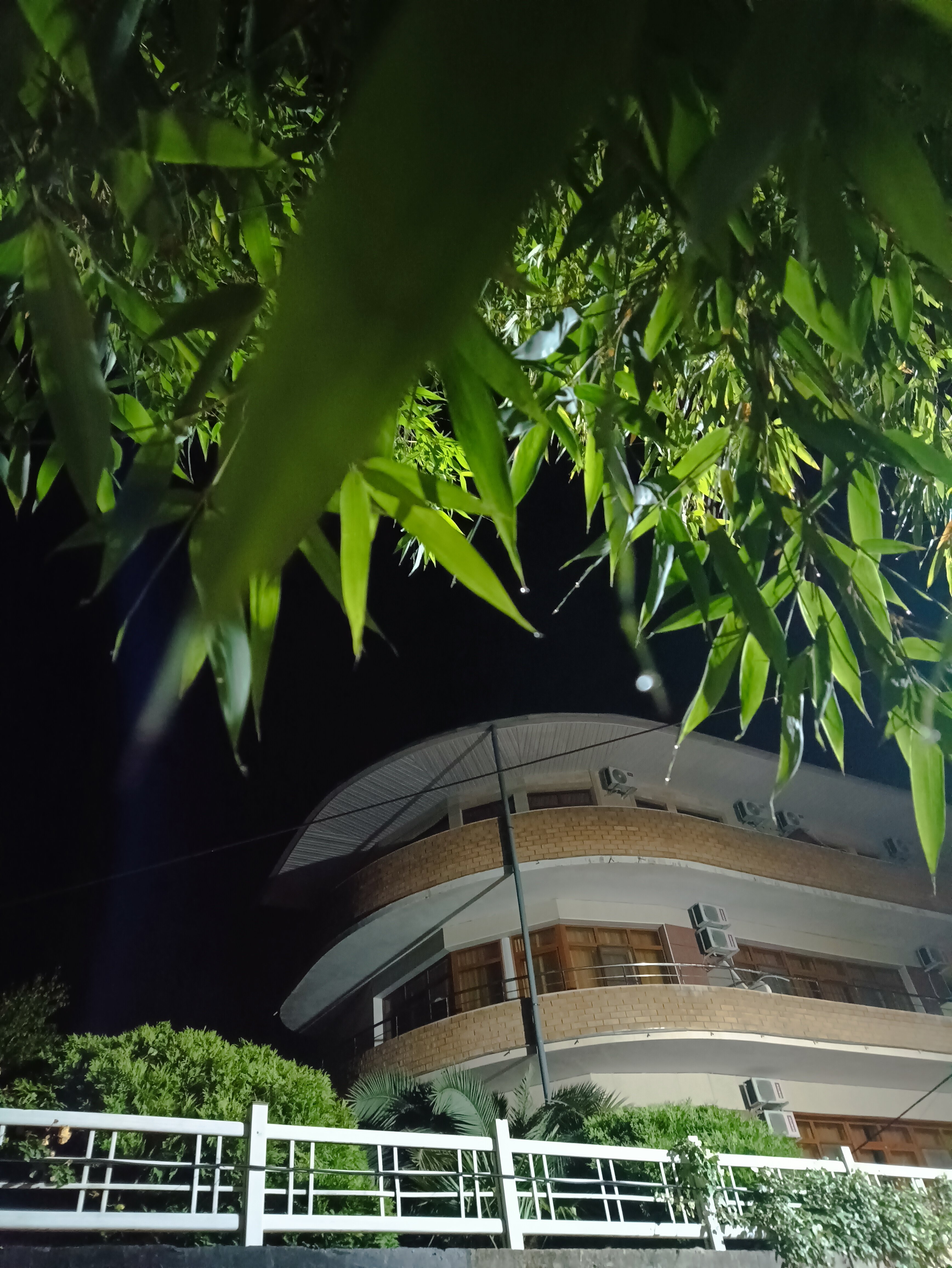 Фото Щелчок