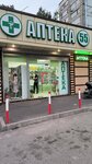 Аптека 55 (Gamidov Avenue, 55В), pharmacy