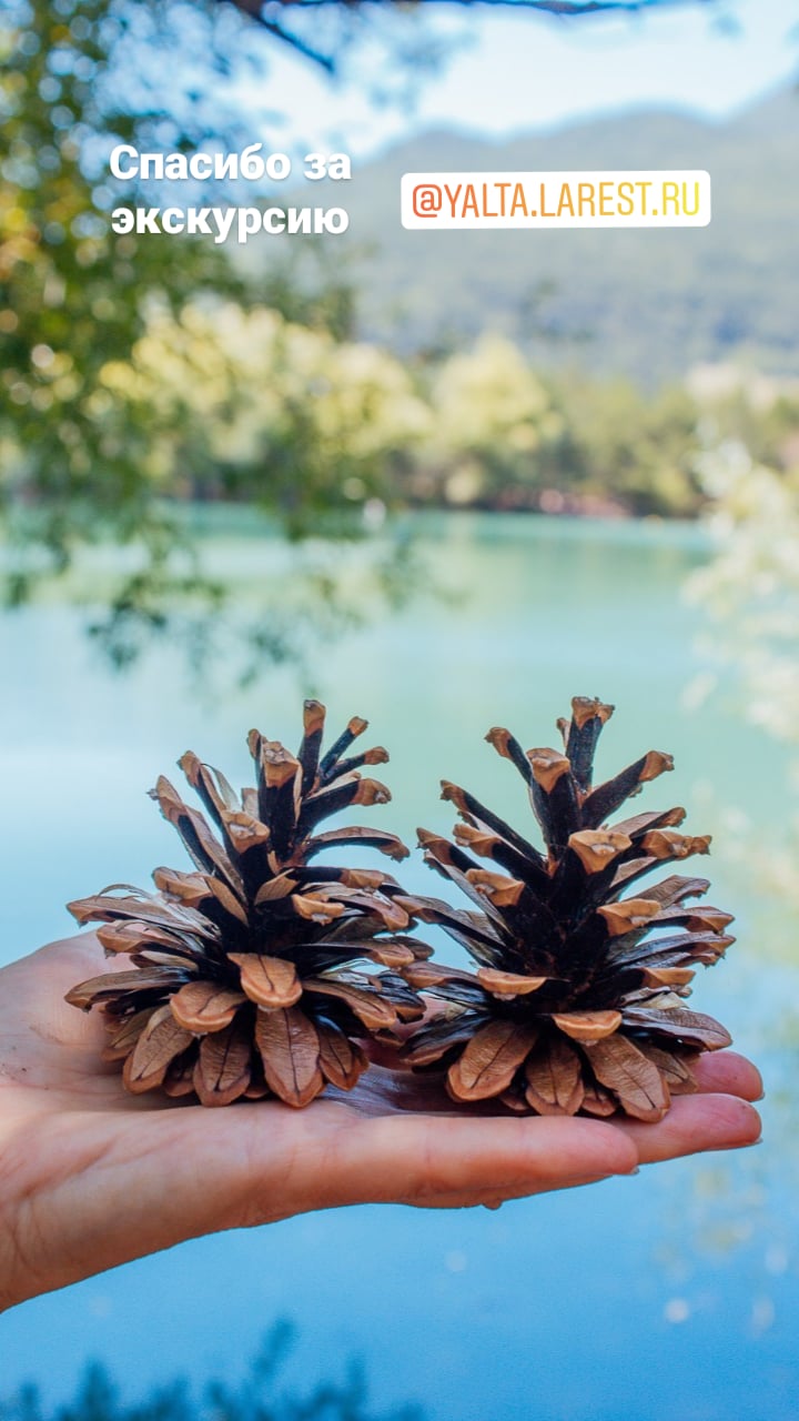 Фото Апартаменты у Приморского Парка