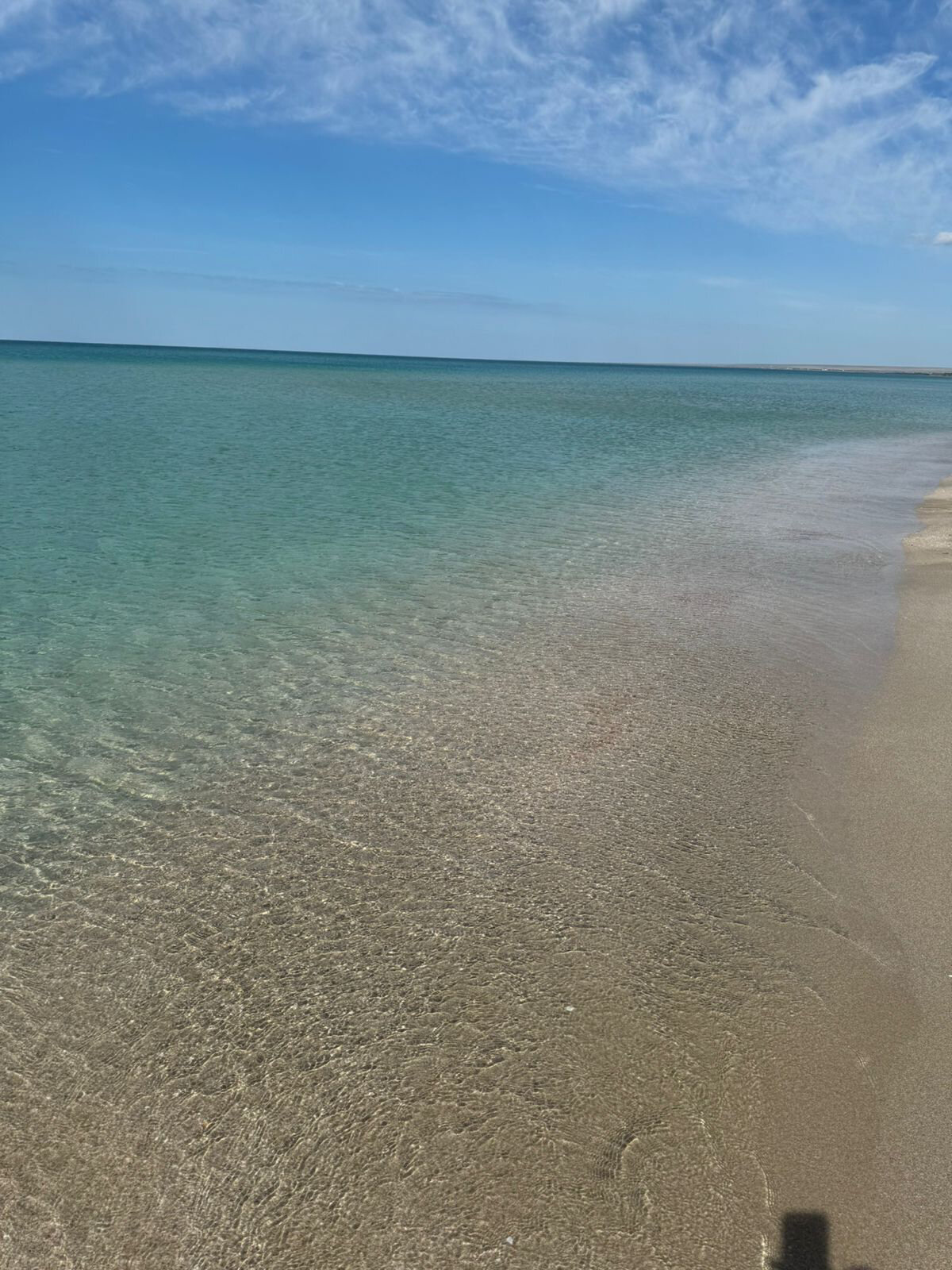 Фото Беляус