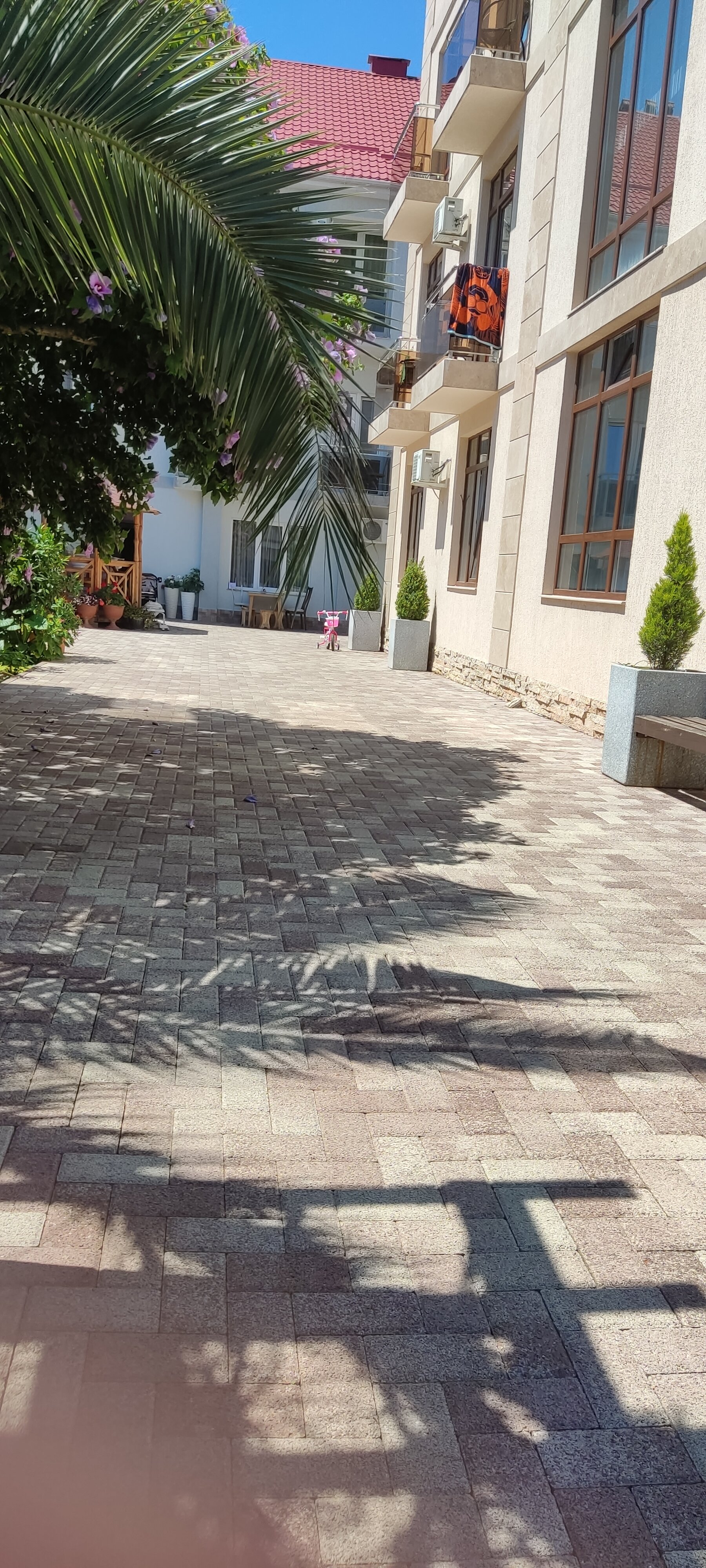 Фото Бумеранг