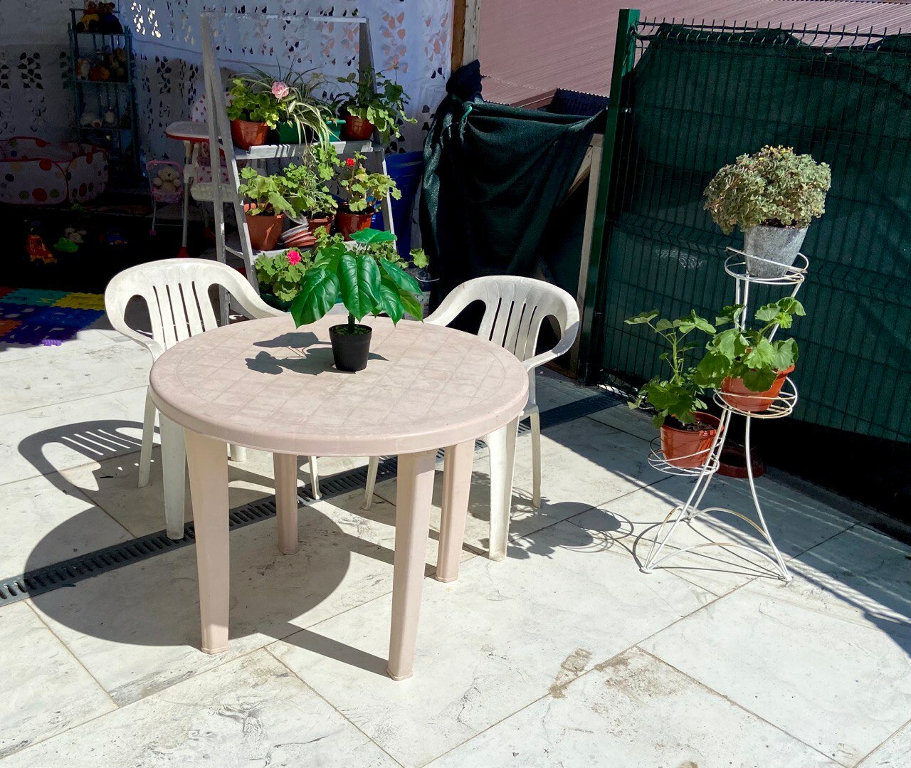 Фото Солнце Кавказа