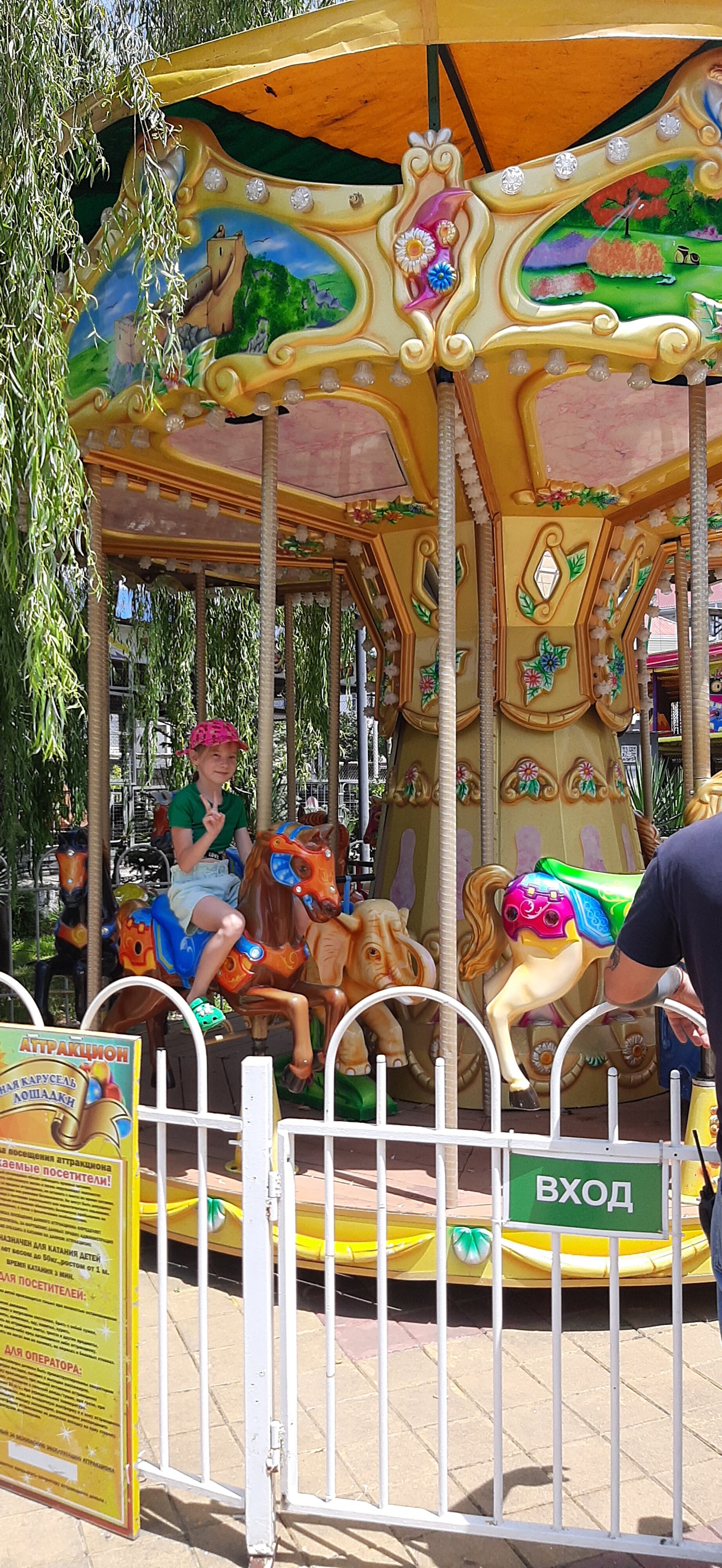 Фото Золотая пальма