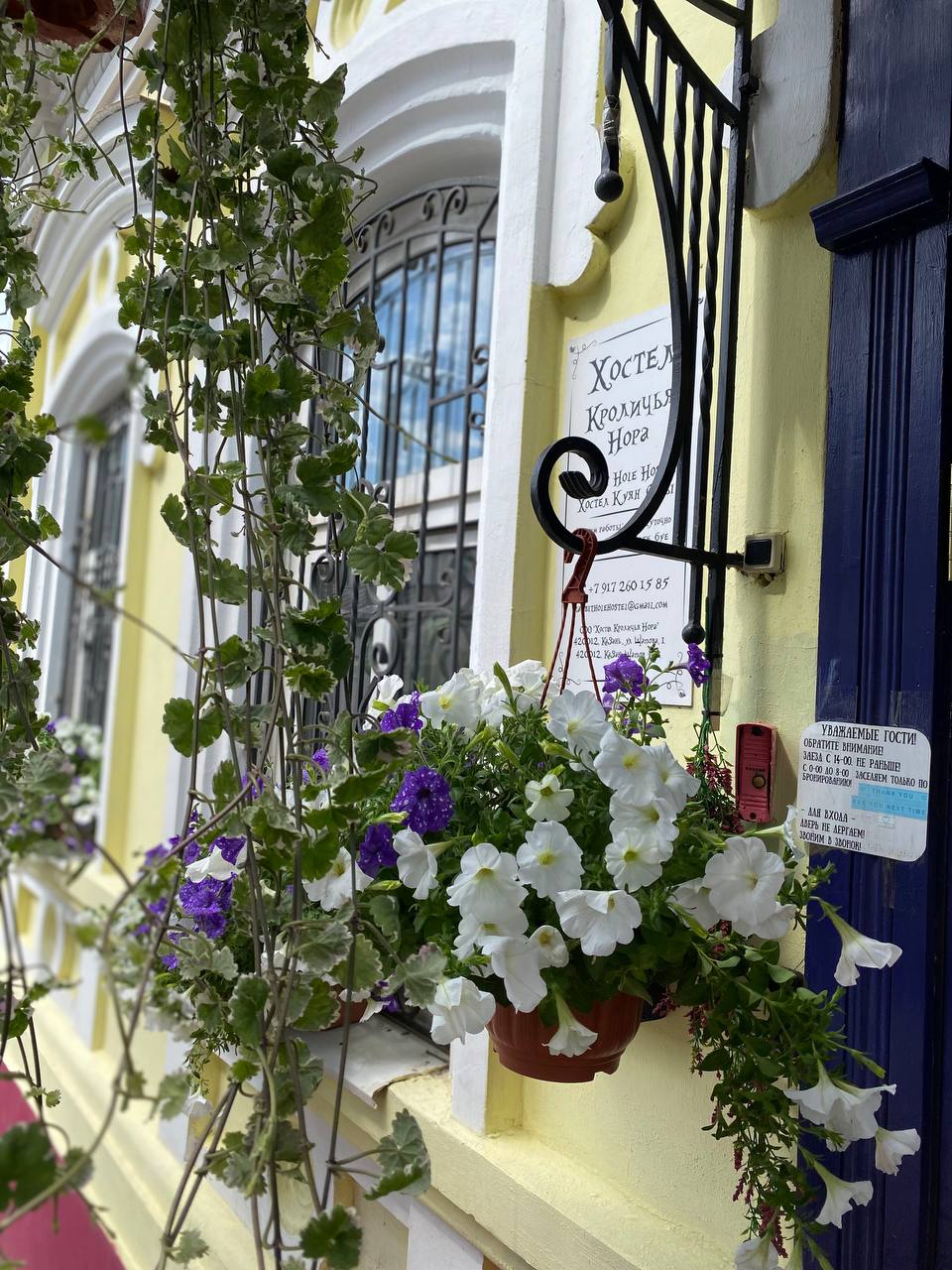 Фото Кроличья нора