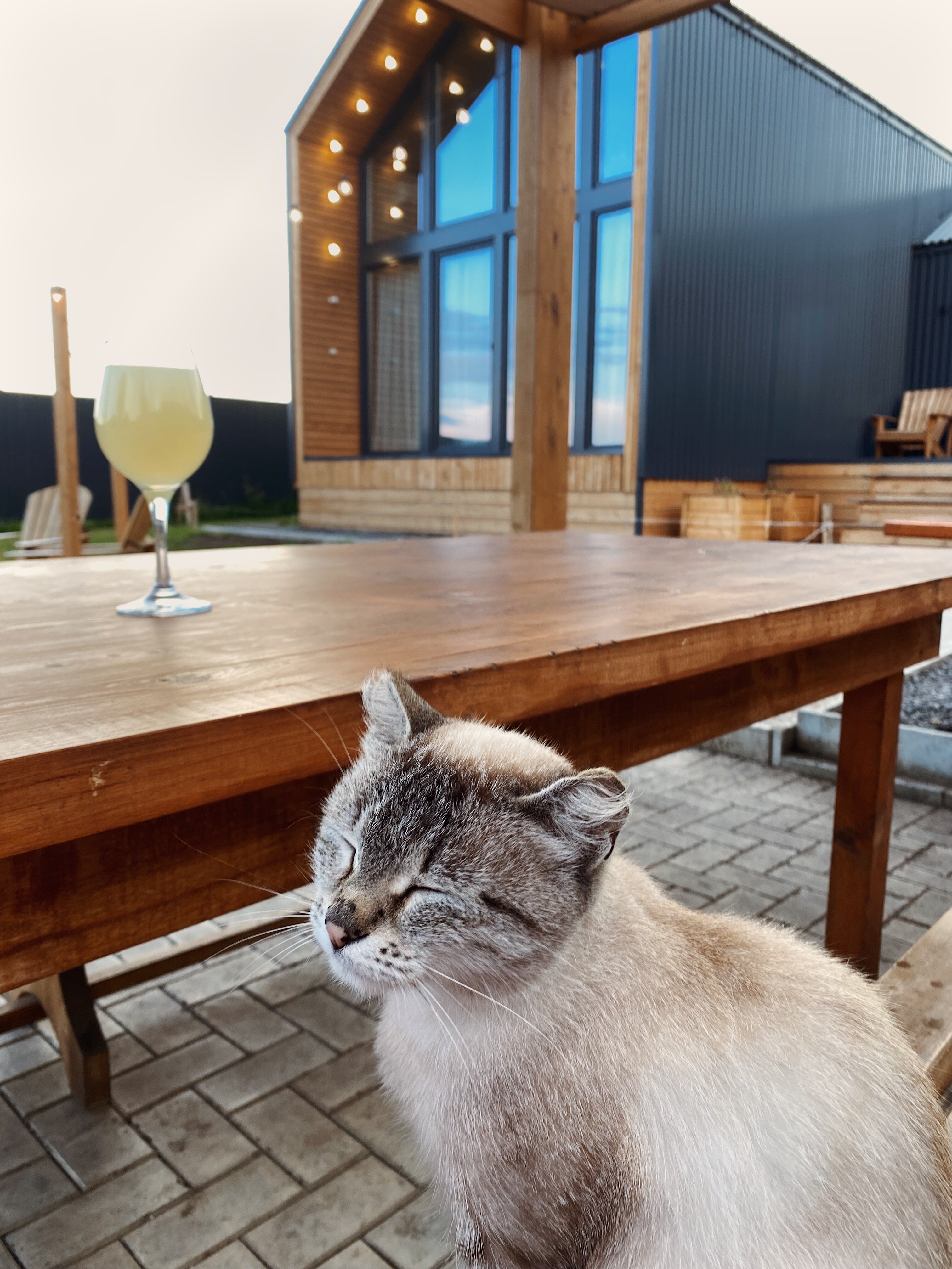 Фото Место Встречи