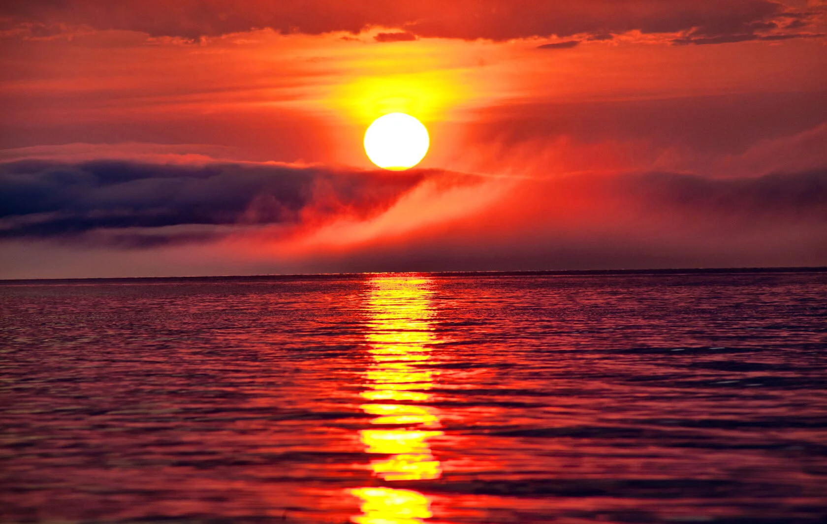 Фото Байкальская солянка