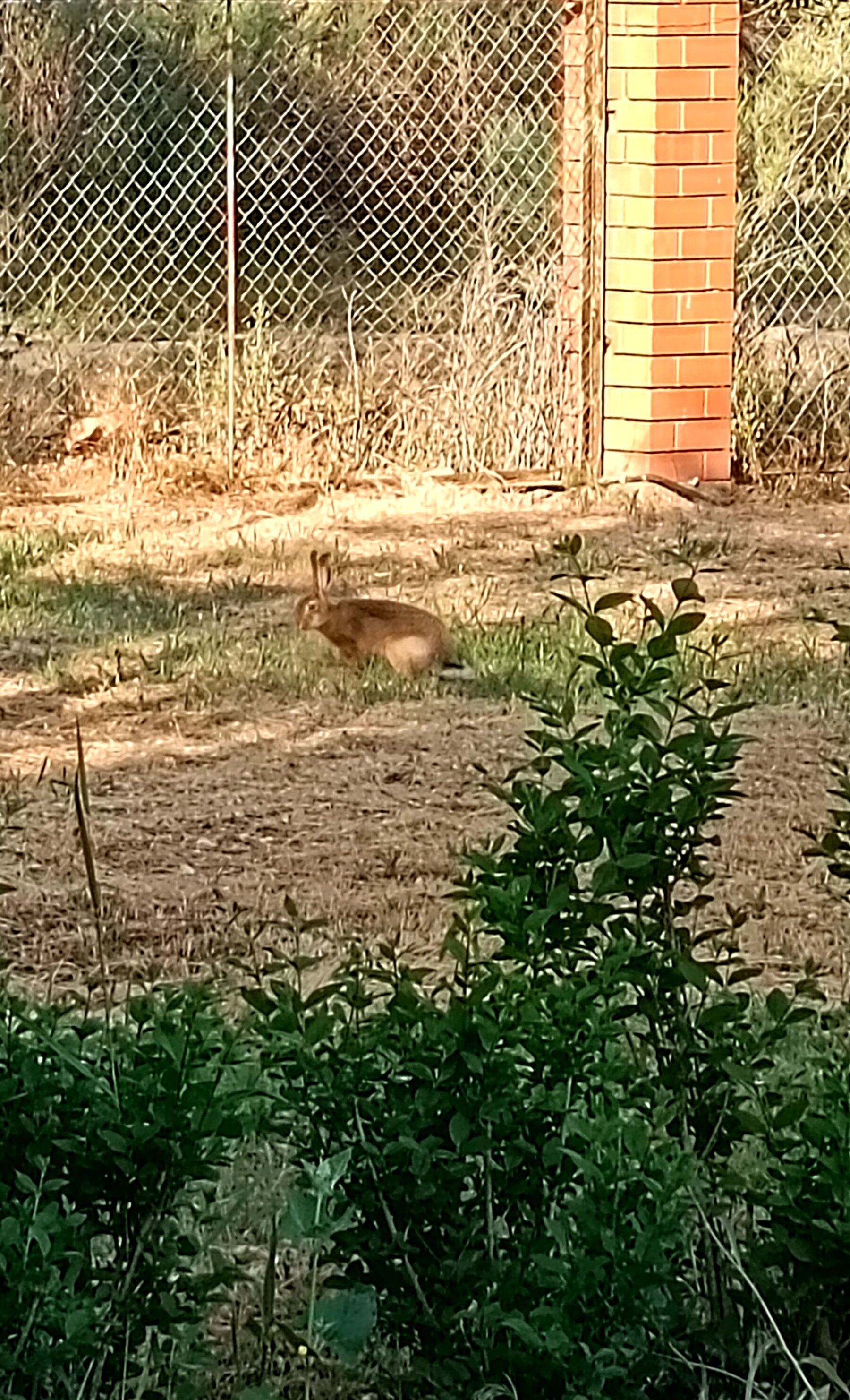 Фото Рыбалкино