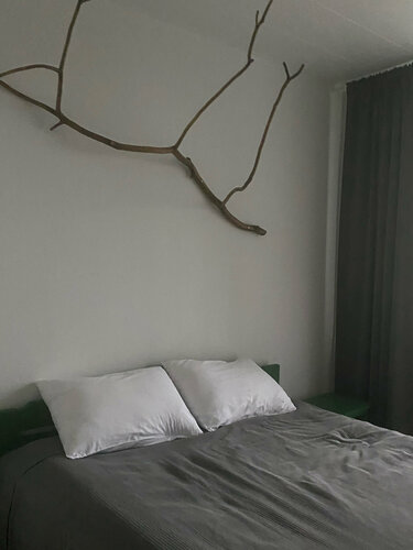 Внешний вид отеля Квартира недалеко от горного парка Рускеала в Кааламо, фото 4