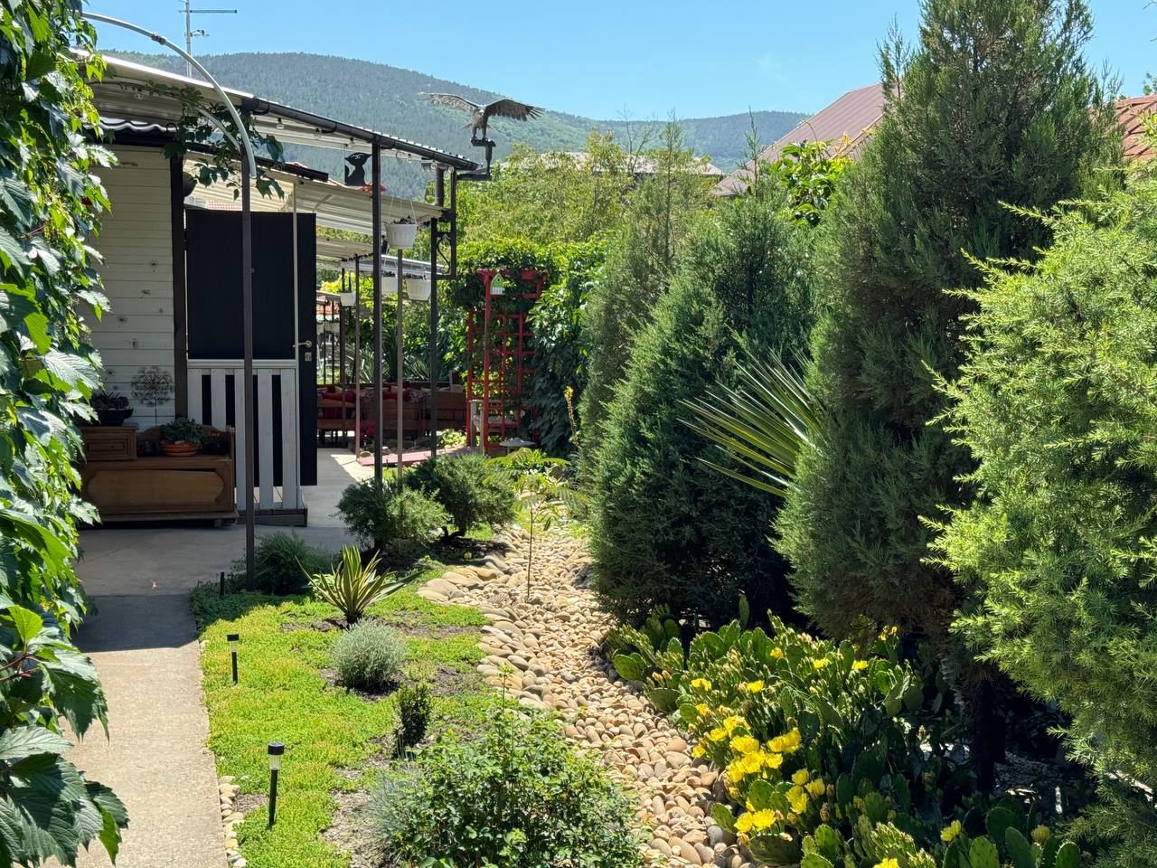 Фото Кофейное дерево