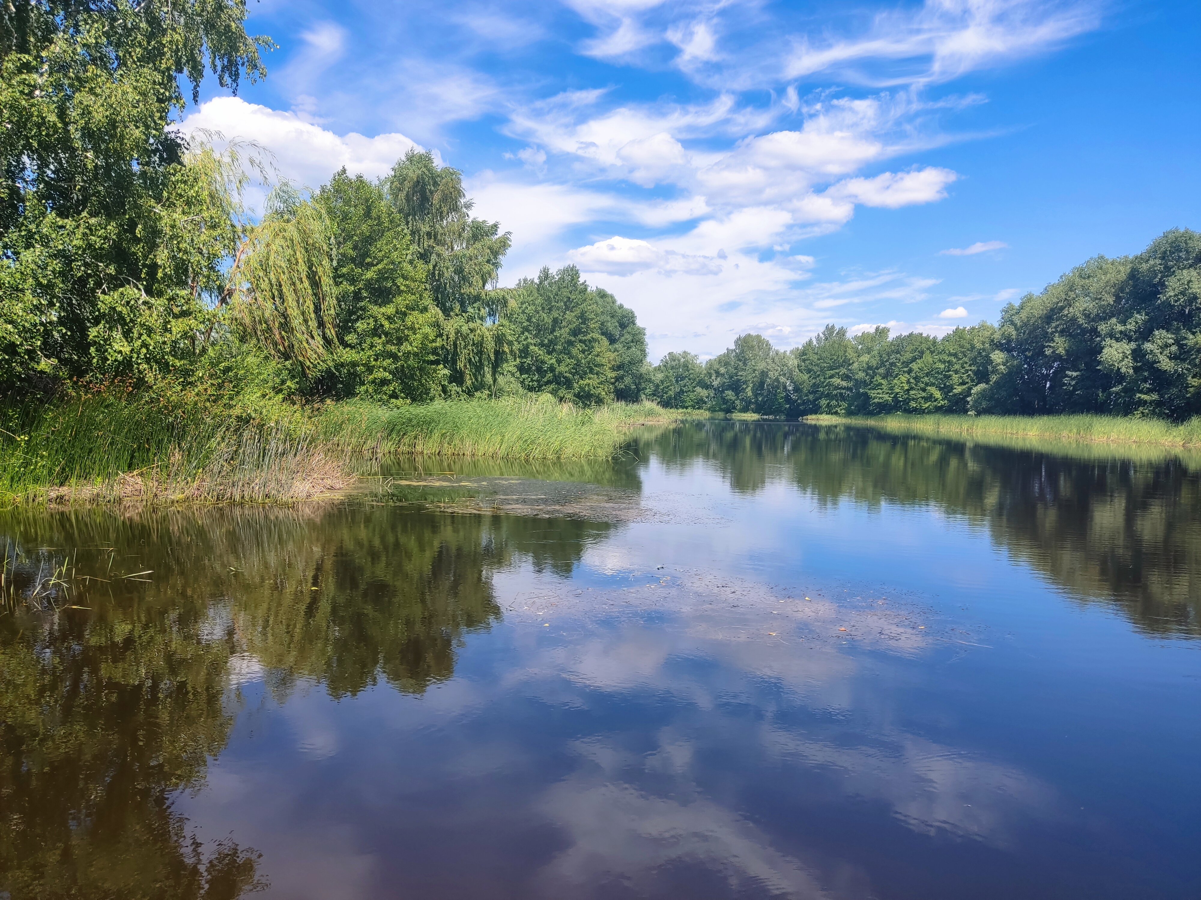 Фото Елховый берег