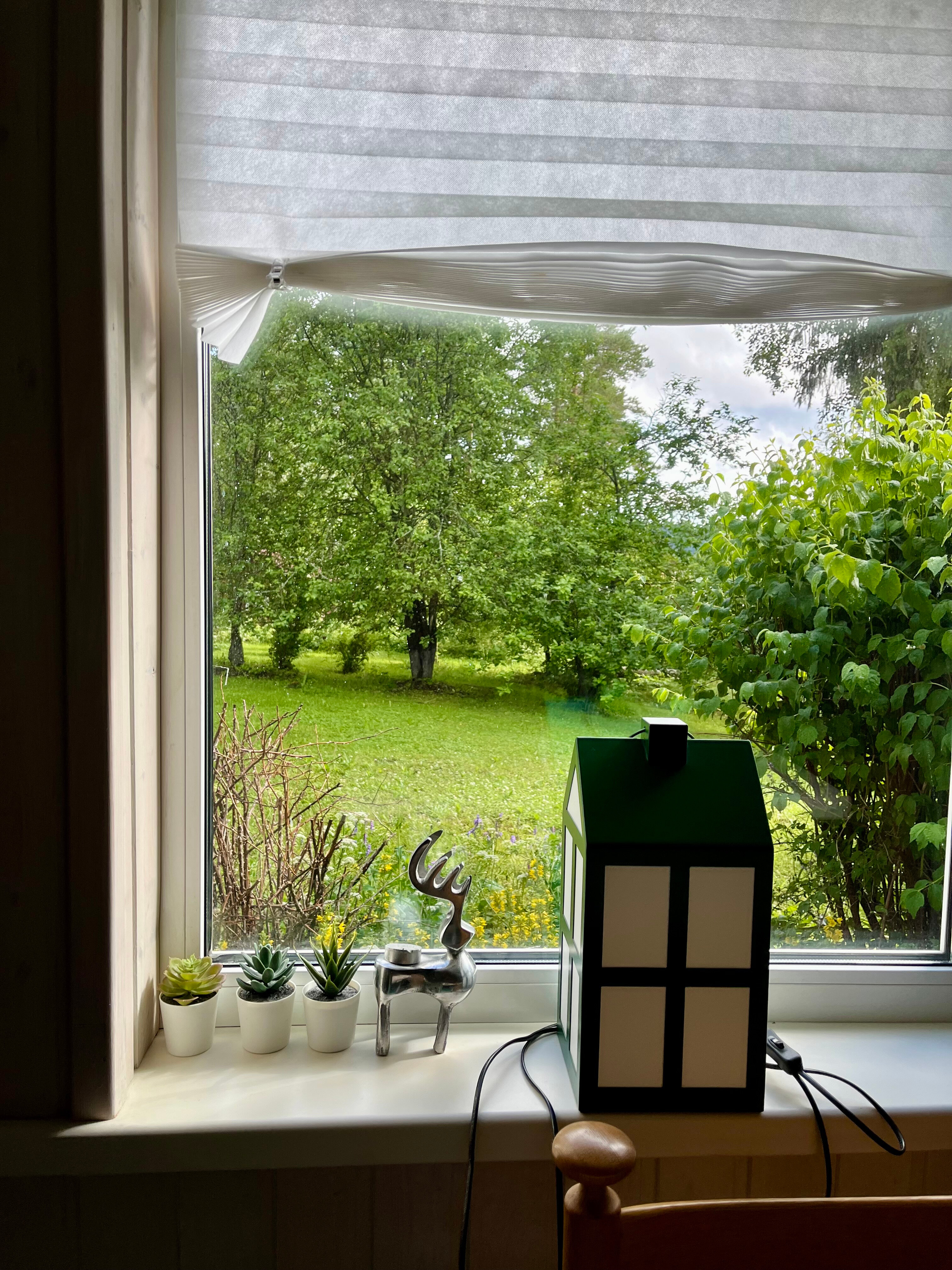 Фото Тайка Хаус