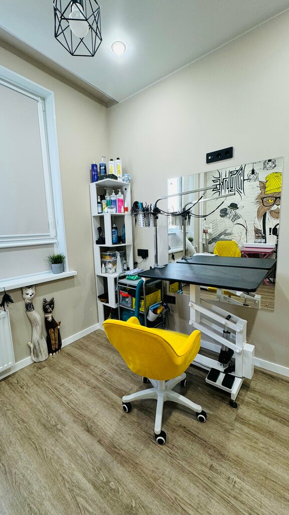 Жануарлар салоны, жануарлар шаштаразы BarberCat, Тюмень облысы, фото
