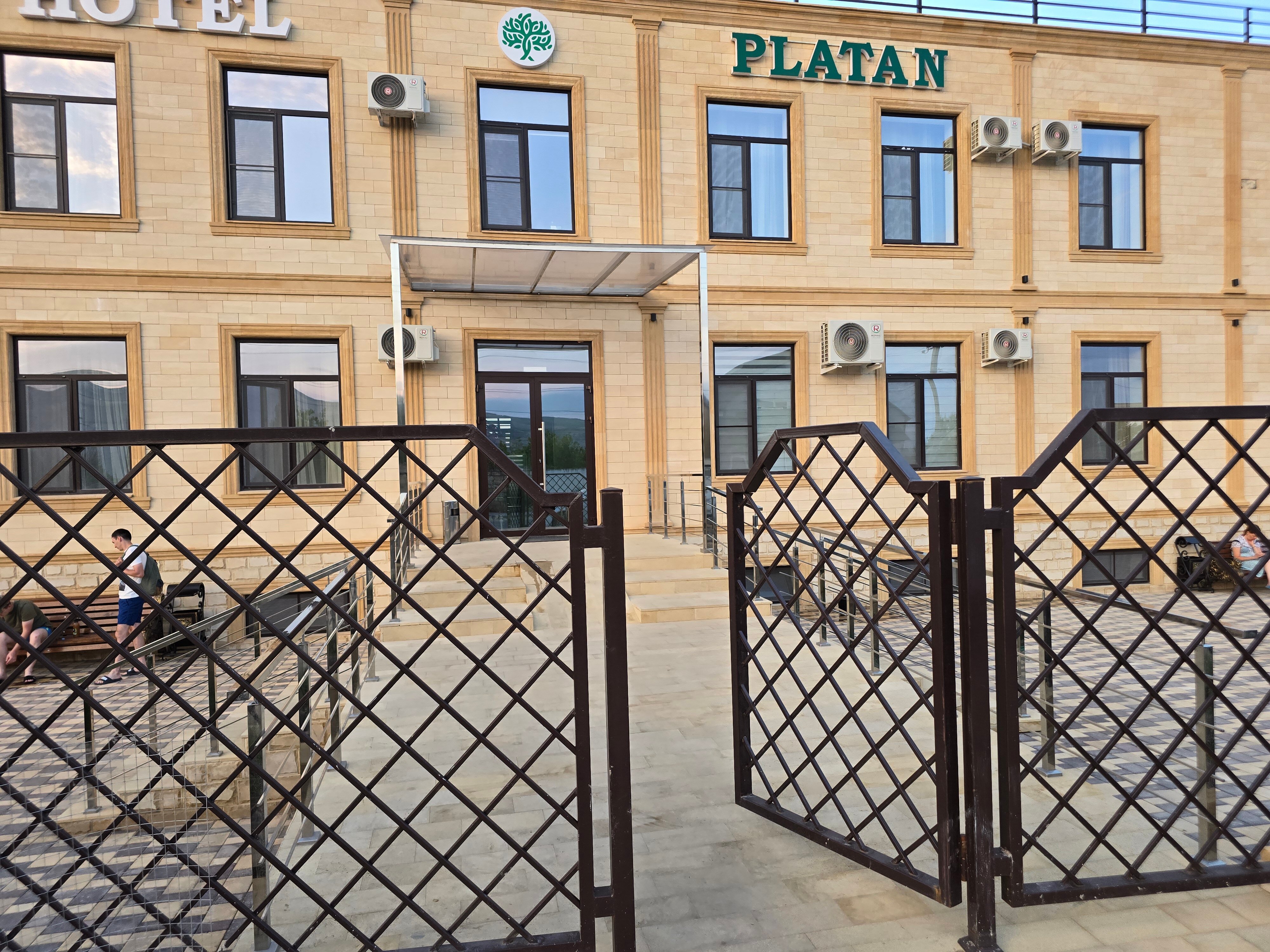 Фото Платан