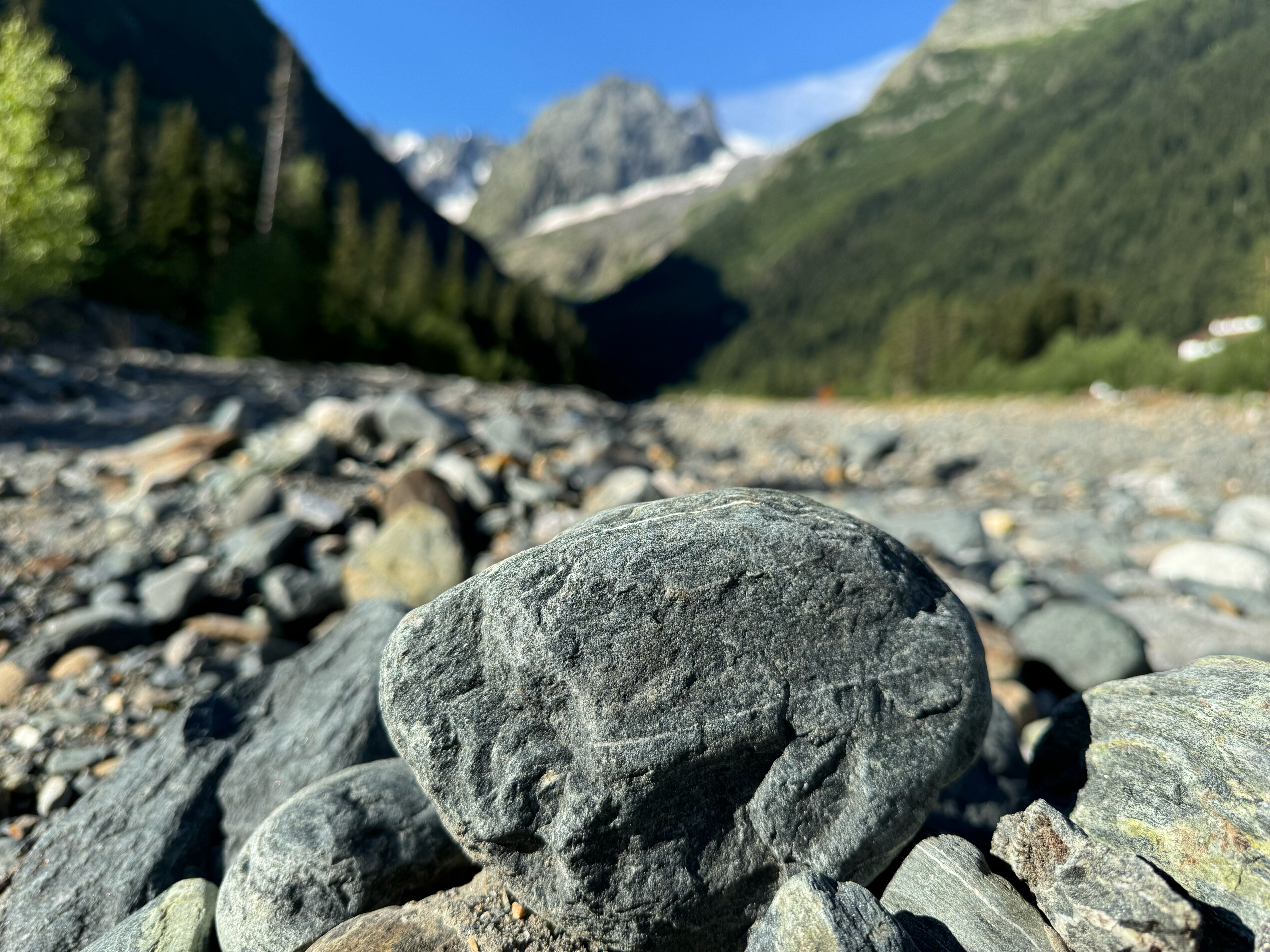 Фото Снежный Барс