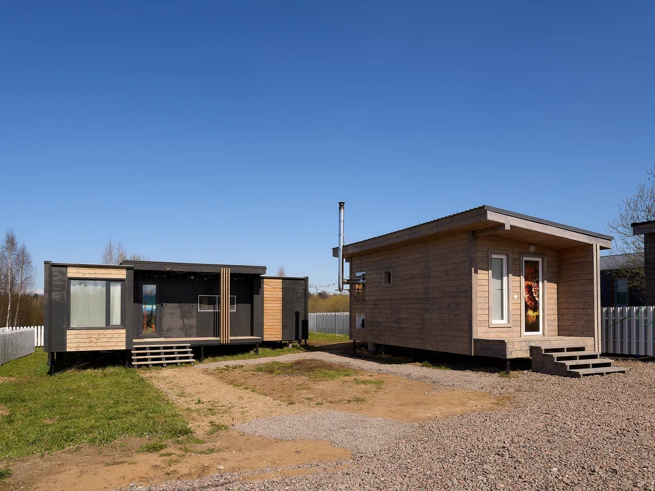 Фото Зеленый лес