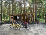 Абсолют Прокат (Новосибирск, Заельцовский парк культуры и отдыха), прокат пункті  Новосибирскте