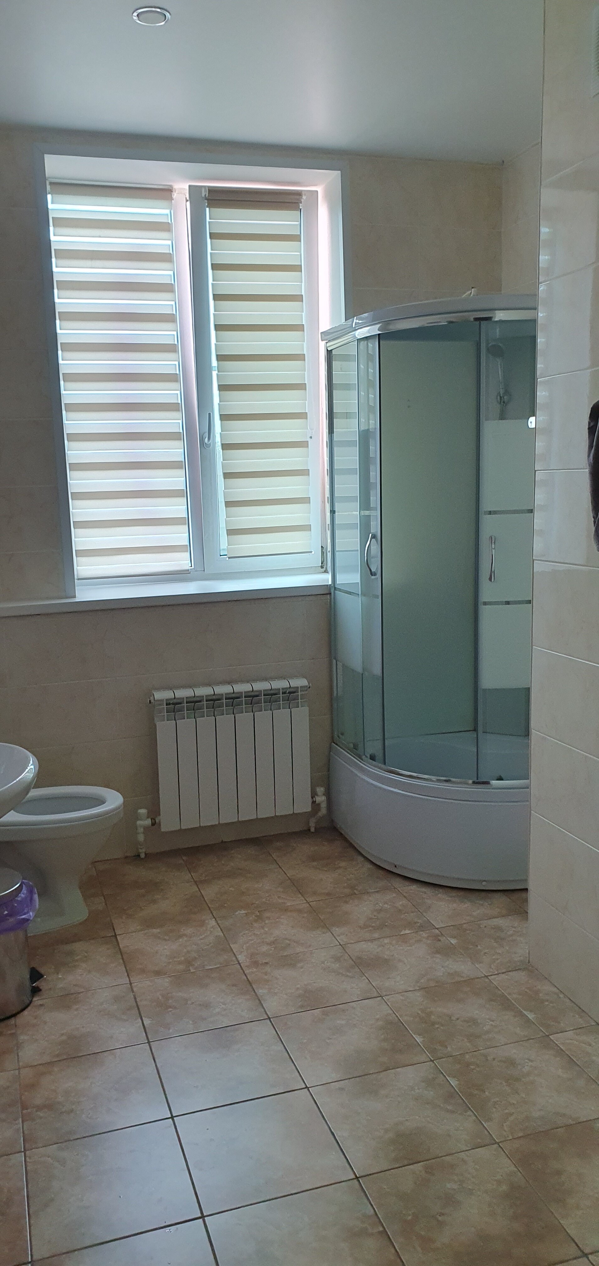 Фото Фламинго