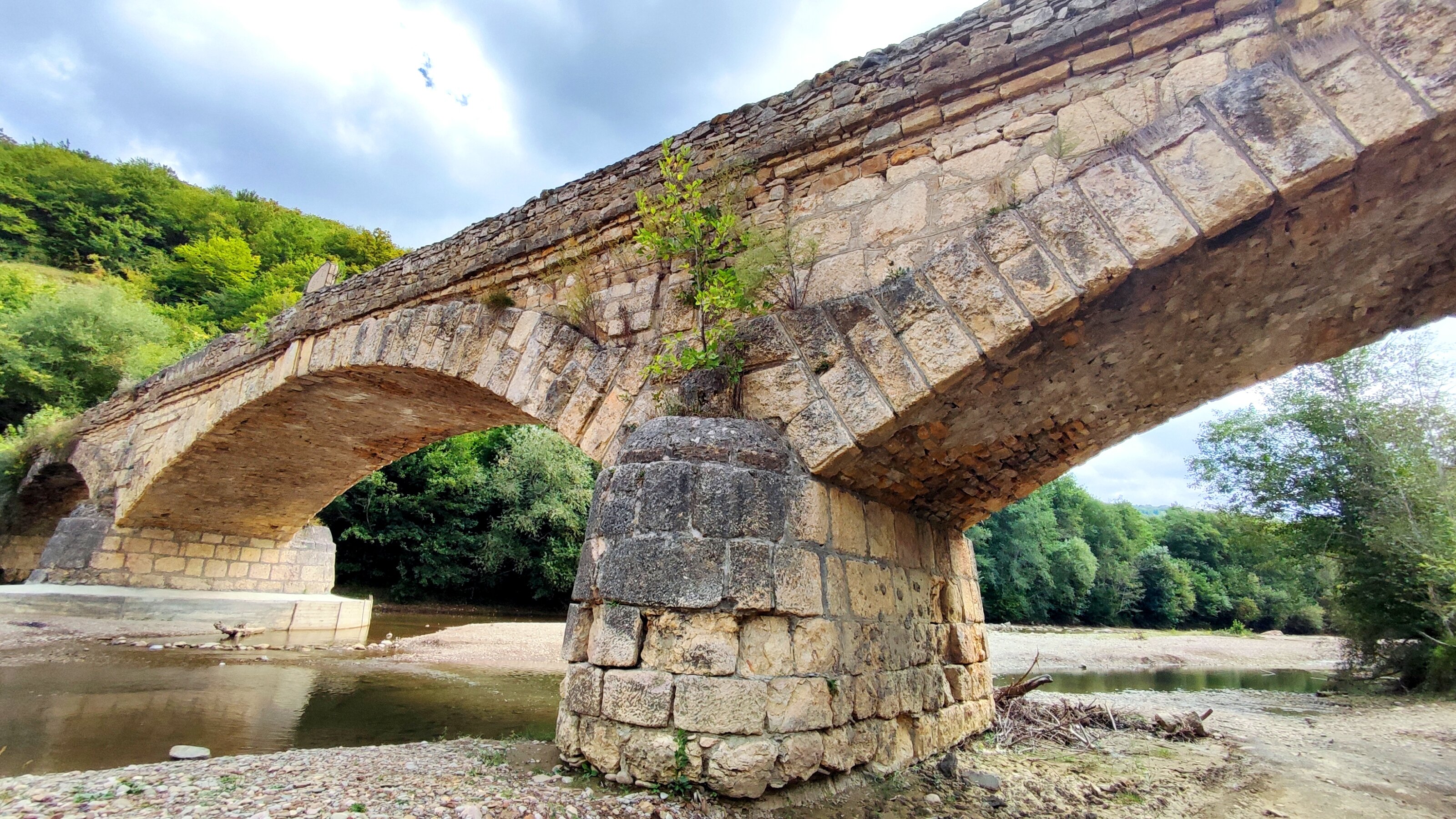 Фото Денница