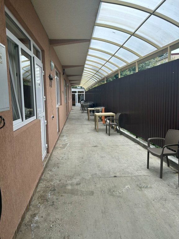 Фото Магнолия