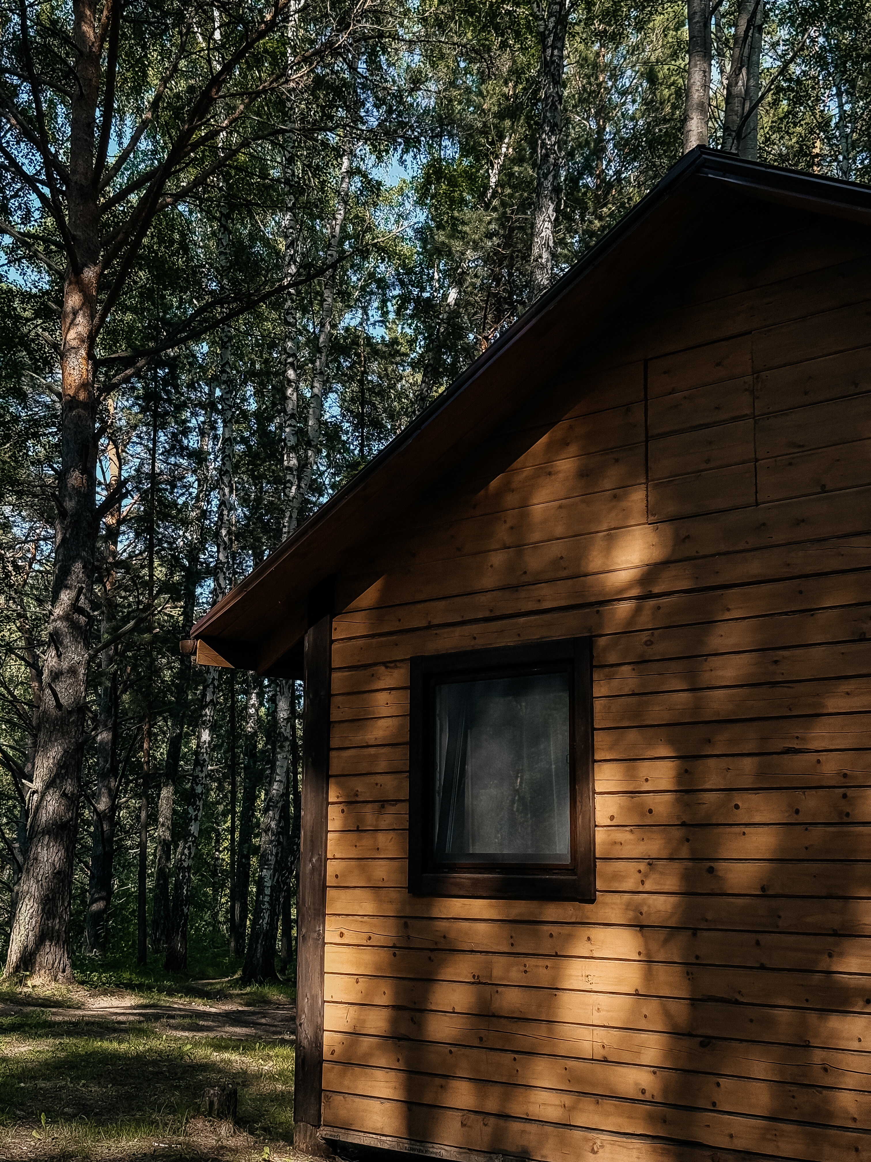 Фото Место под солнцем