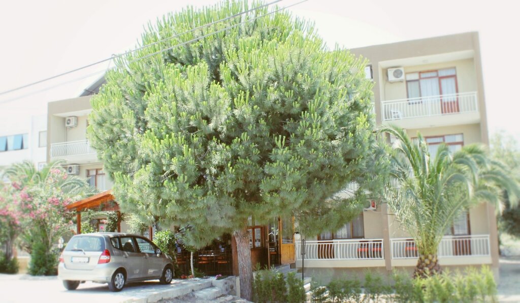 Hotel Albergo Otel, Cesme, photo