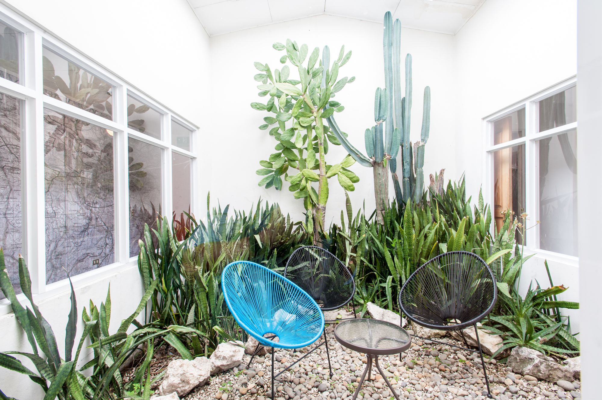 Фото Capital Hostel de Ciudad