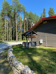 Medvezhka (Medvezhyegorsk, ulitsa Chkalova, 31), hotel
