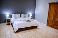 Фото Two Fat Owls Guesthouse