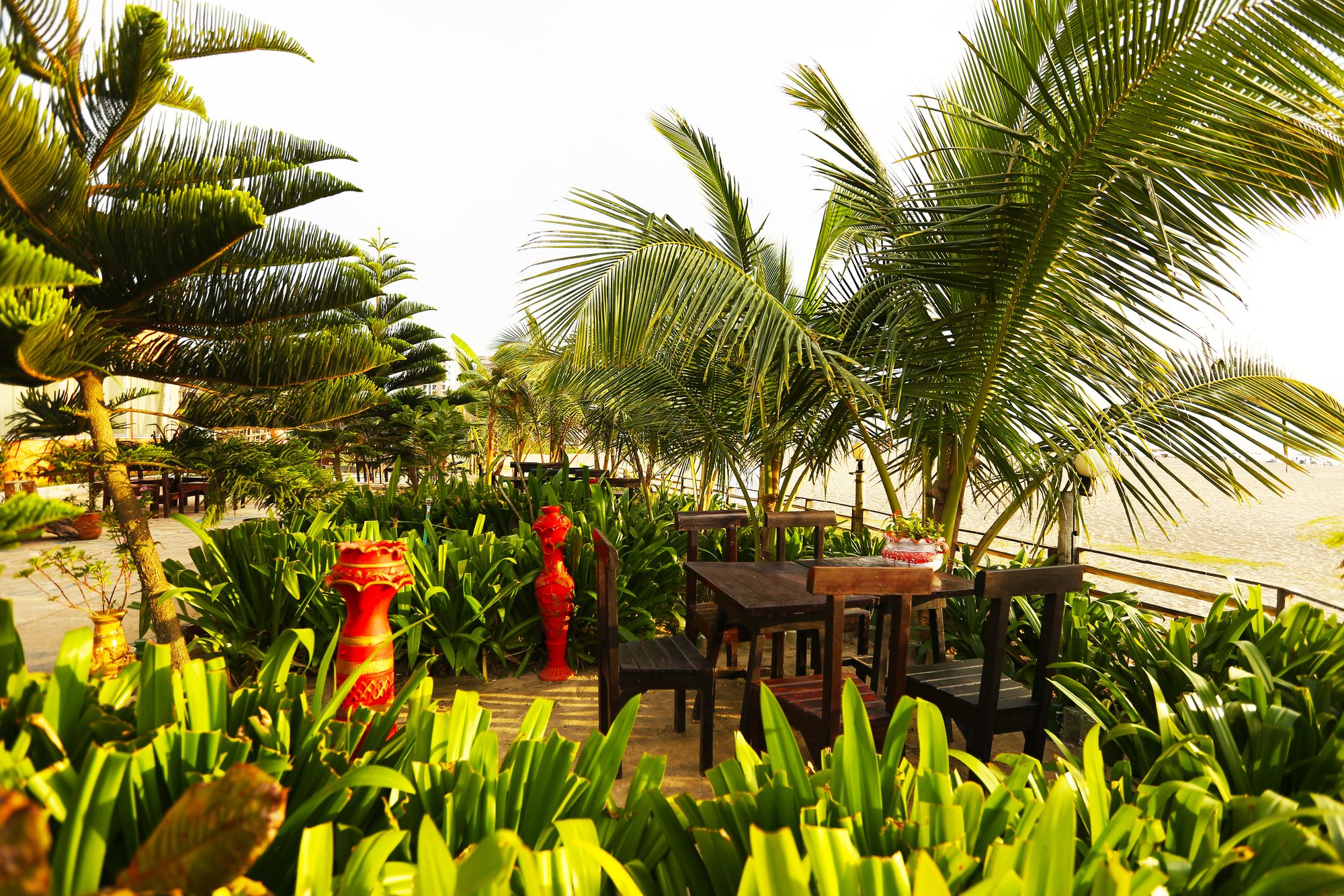 Фото Divine Eco Resort